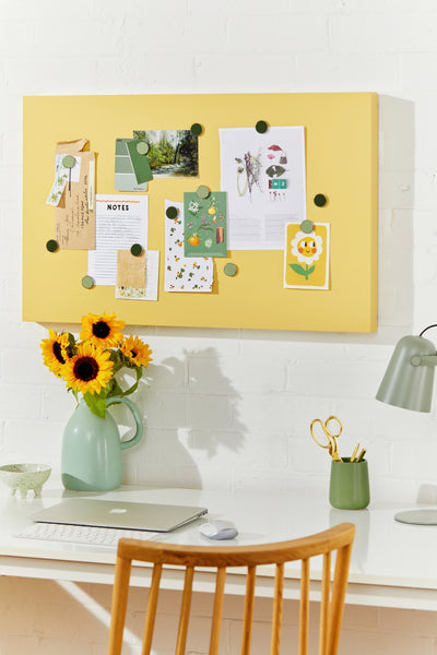 (PRE-ORDER) The Storyboard in Butter