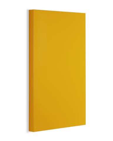 (PRE-ORDER) The Storyboard in Mustard