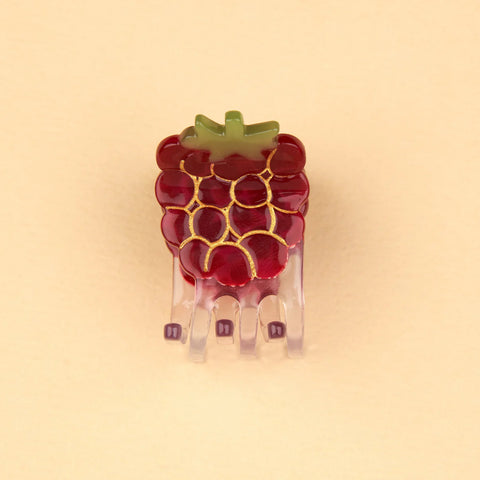 Raspberry Mini Claw