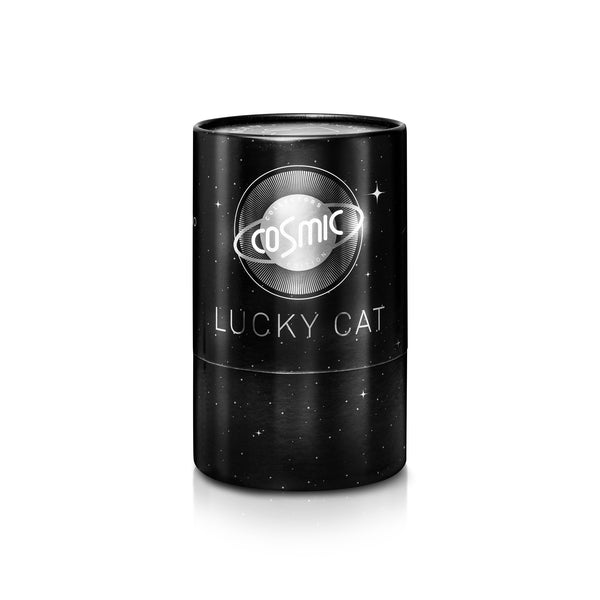 (PRE-ORDER) Lucky Cat - Shiny Silver