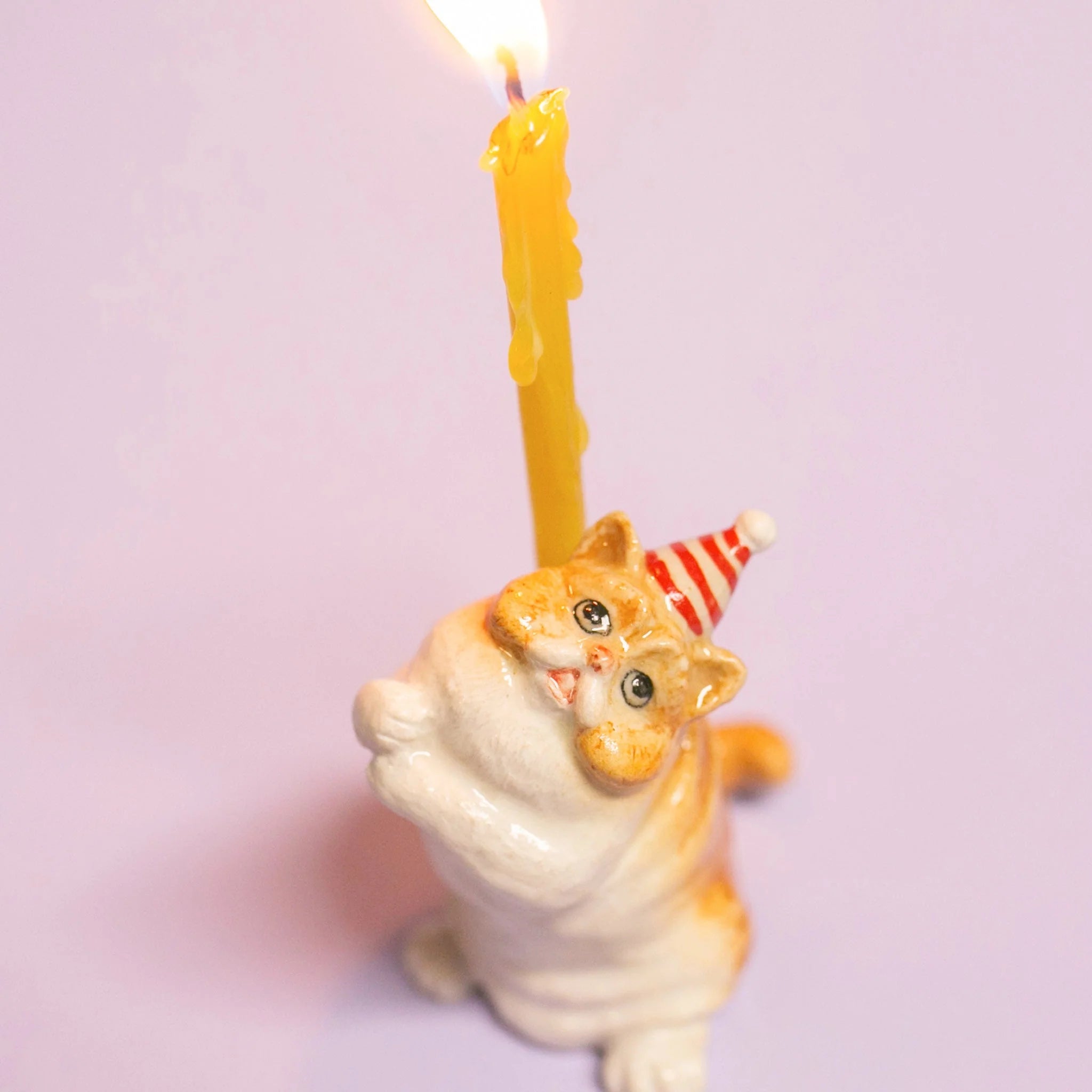 Exotic Shorthair Cat Cake Topper