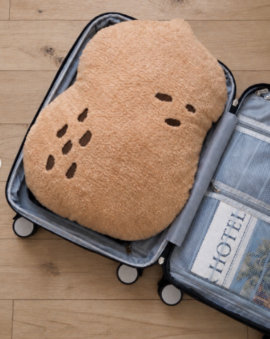 (PRE-ORDER) Peanut Cushion