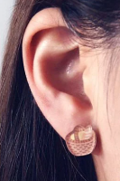 Food Series Earrings