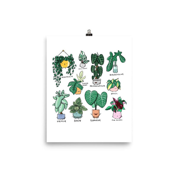 Plant Family Series Art Print