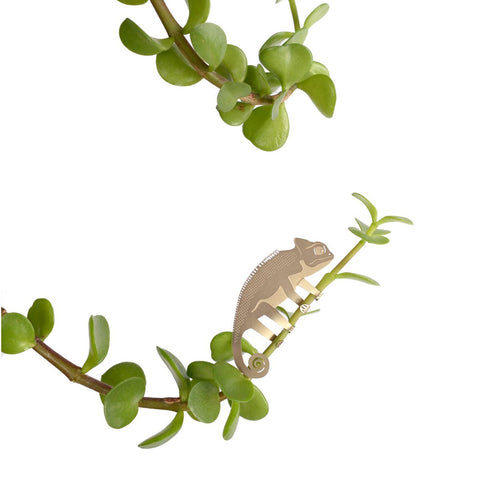 hanging plant animals from Another Studio for your favourite indoor plants at home