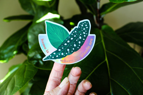 Home is Where My Plants Are • Holographic Sticker