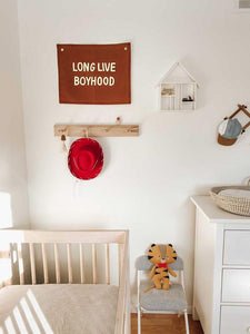 Long Live Boyhood Banner