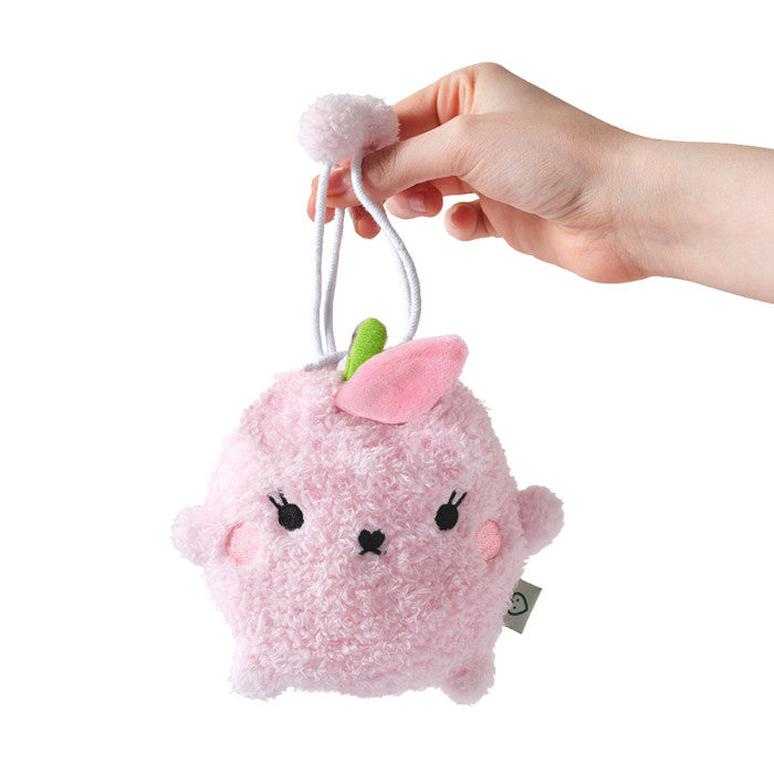 Fruit Pouch