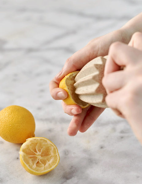 Hand Juicer (Handy Little Things)