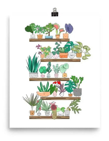 Plant Shelfie Art Print