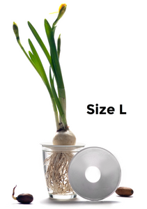 Botanopia - Plant Propagation Plate